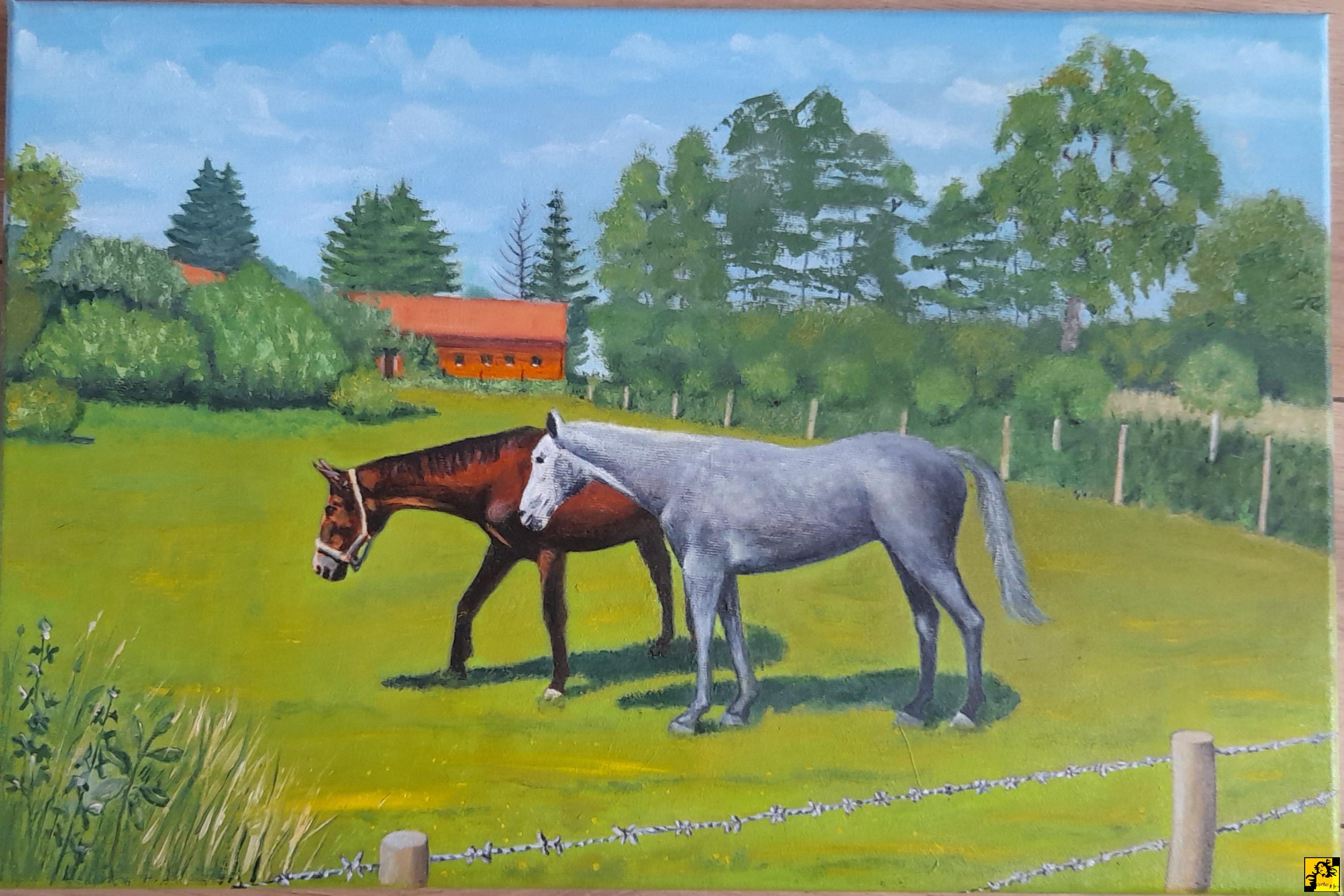 Elżbieta Szpendowska: 