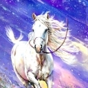 Nie zatrzymuj dzikich koni